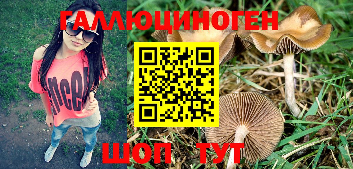 Галлюциногенные грибы MAGIC MUSHROOMS Светлоград